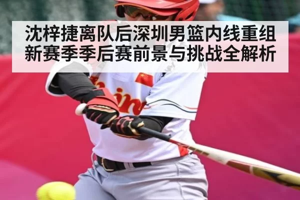 沈梓捷离队后深圳男篮内线重组新赛季季后赛前景与挑战全解析